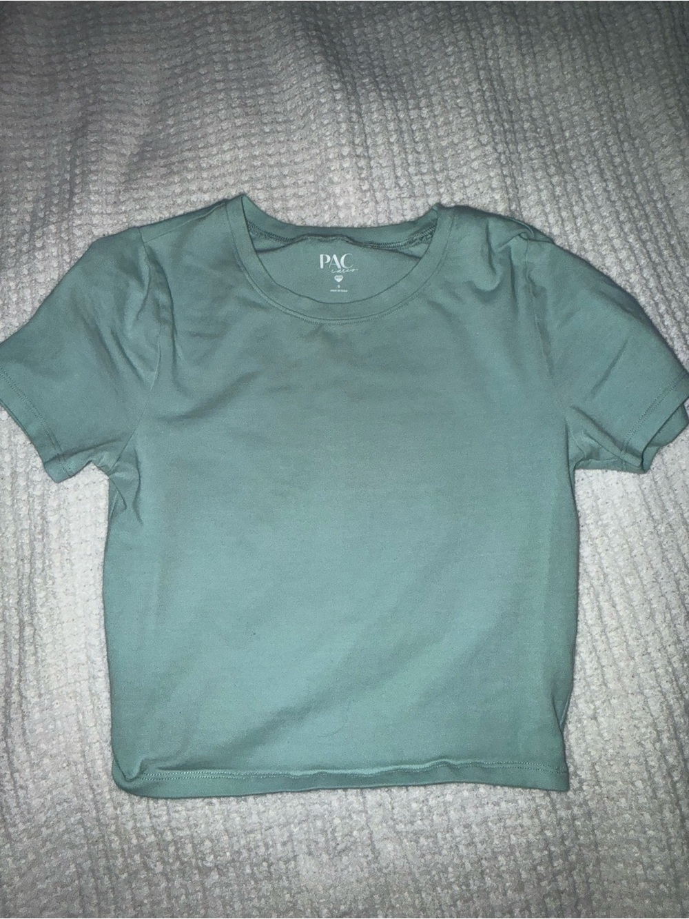 PacSun Sage Green Crop Crewneck Tee